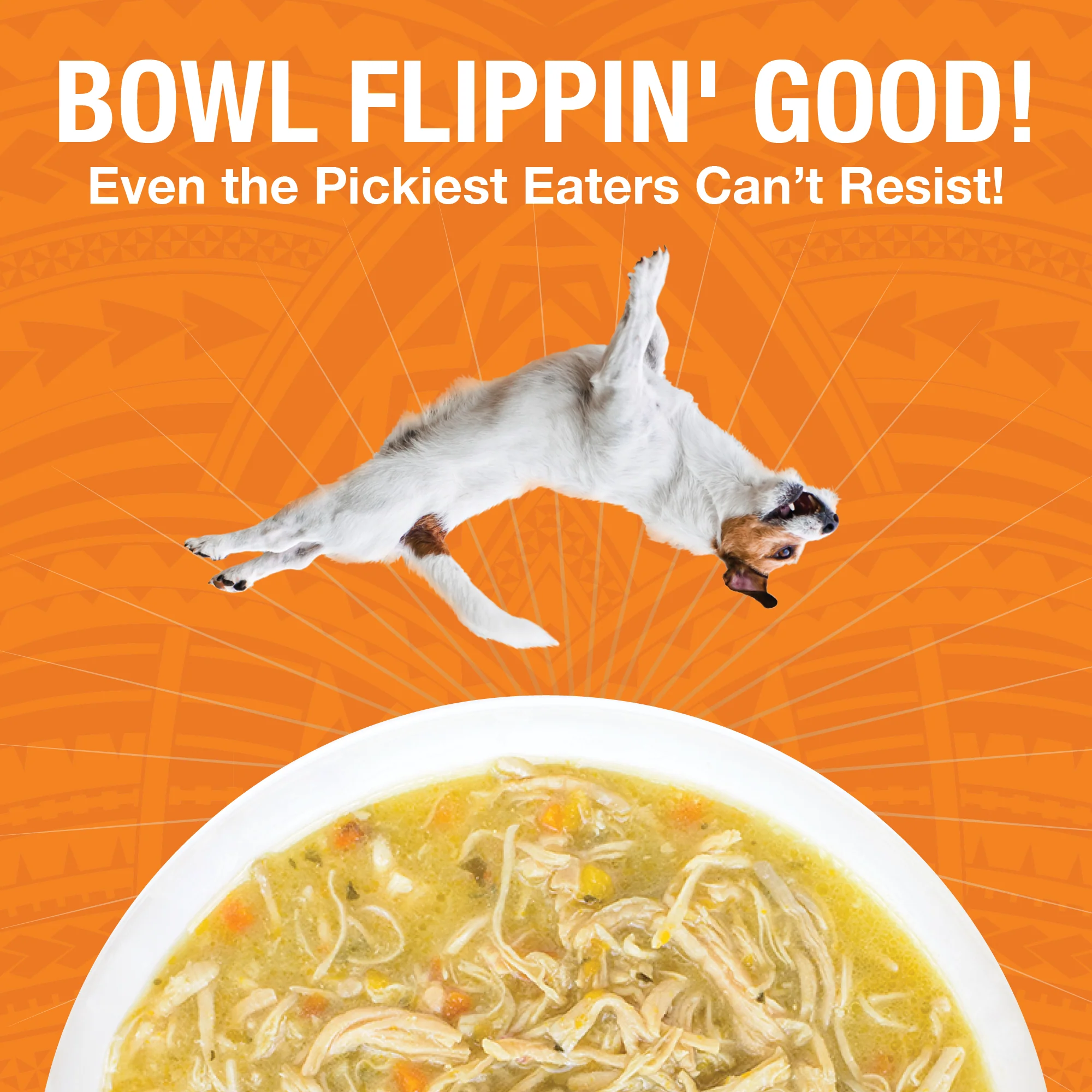 Pure Shreds Shredded Chicken Breast Entrée for Dogs - Image 3