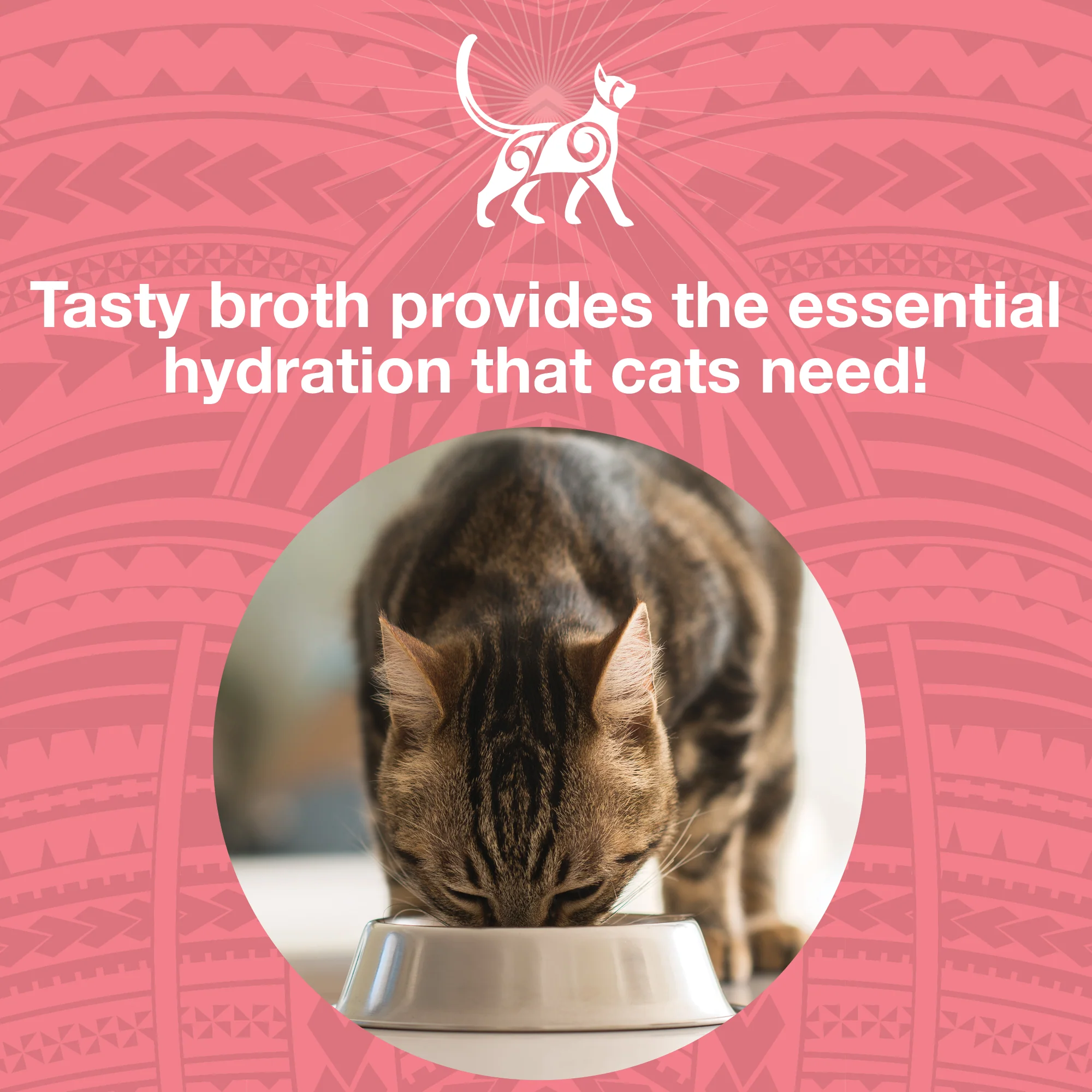 Pure Shreds Shredded Chicken Breast & Salmon Entrée for Cats - Image 4