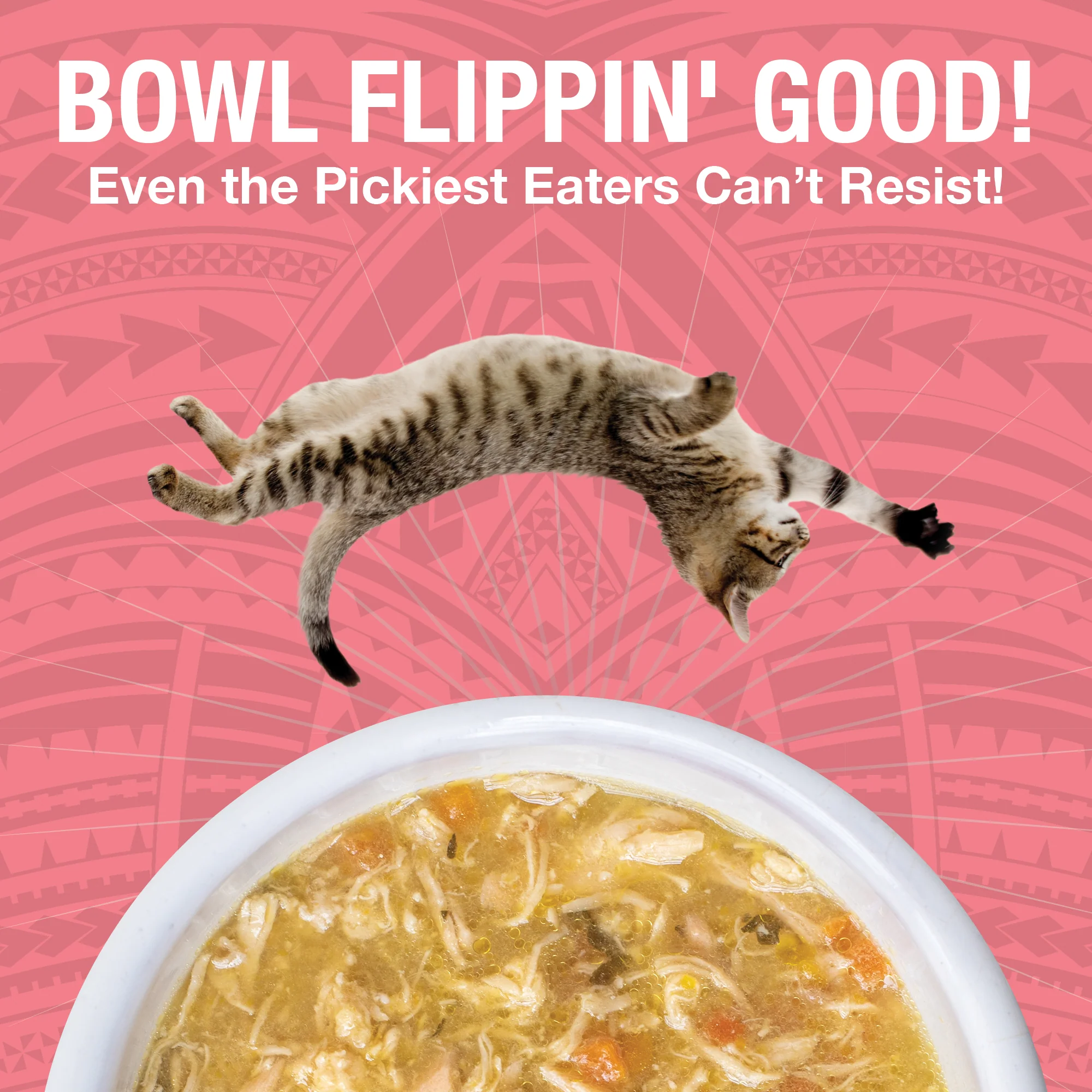 Pure Shreds Shredded Chicken Breast & Salmon Entrée for Cats - Image 5