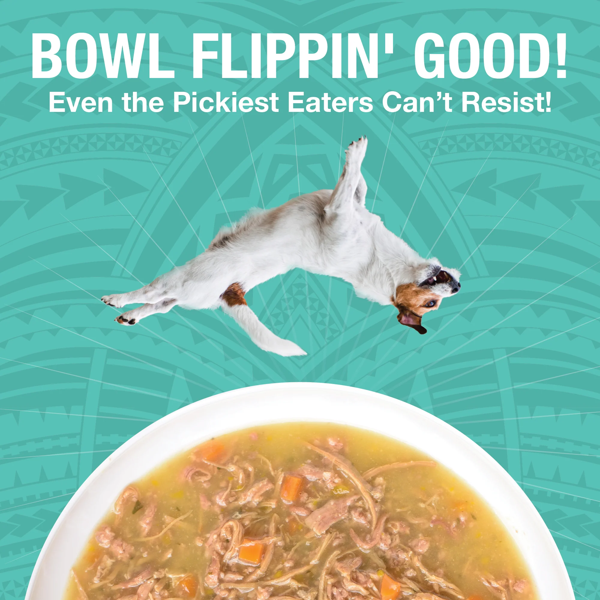 Pure Shreds Shredded Duck Entrée for Dogs - Image 3
