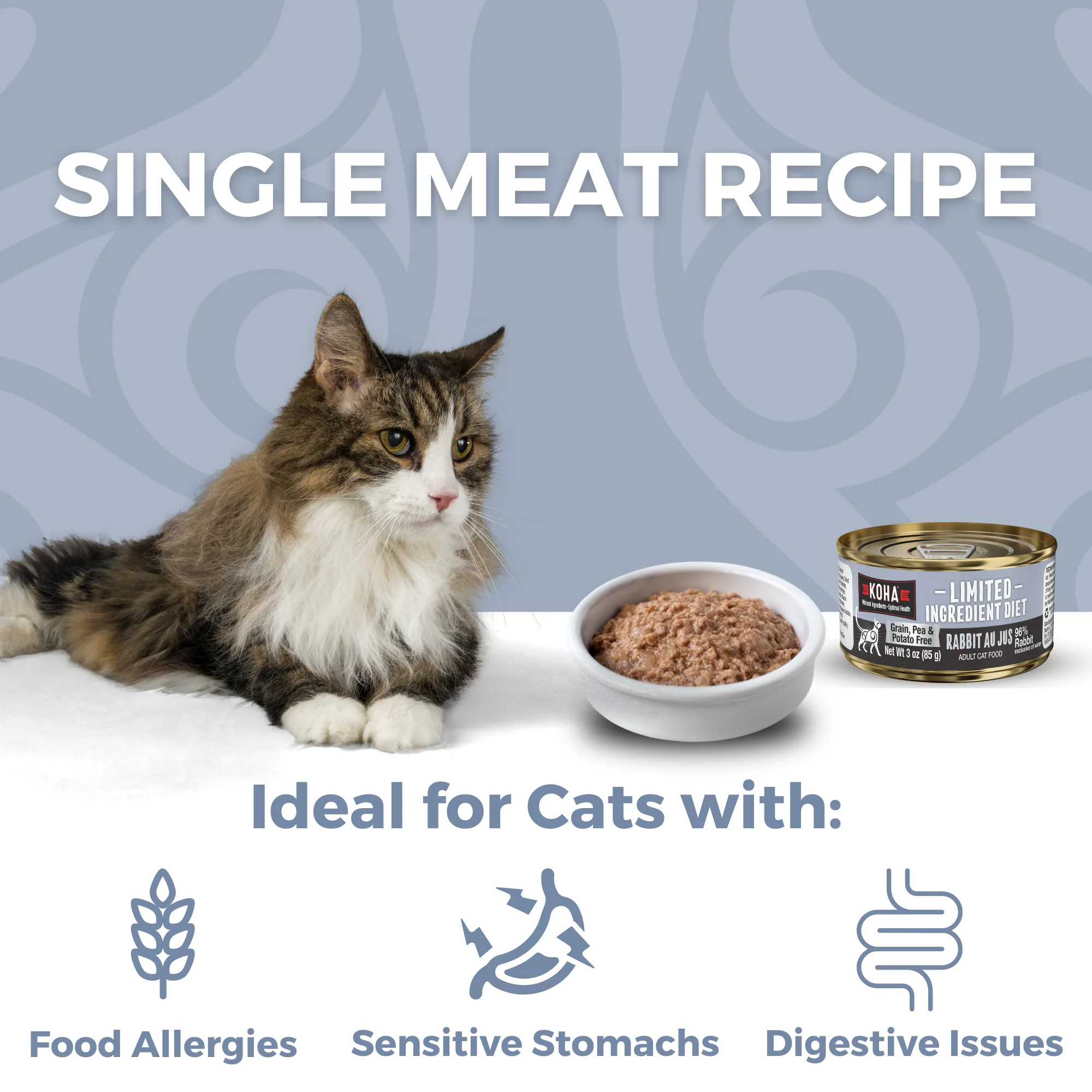 Rabbit Cat Food: Limited Ingredient Diet Rabbit Au Jus for Cats - Image 3