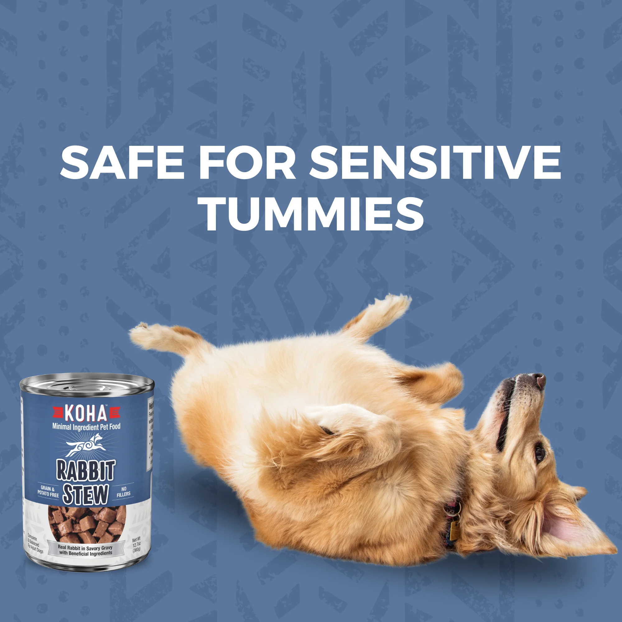 Minimal Ingredient Rabbit Stew for Dogs - Image 3