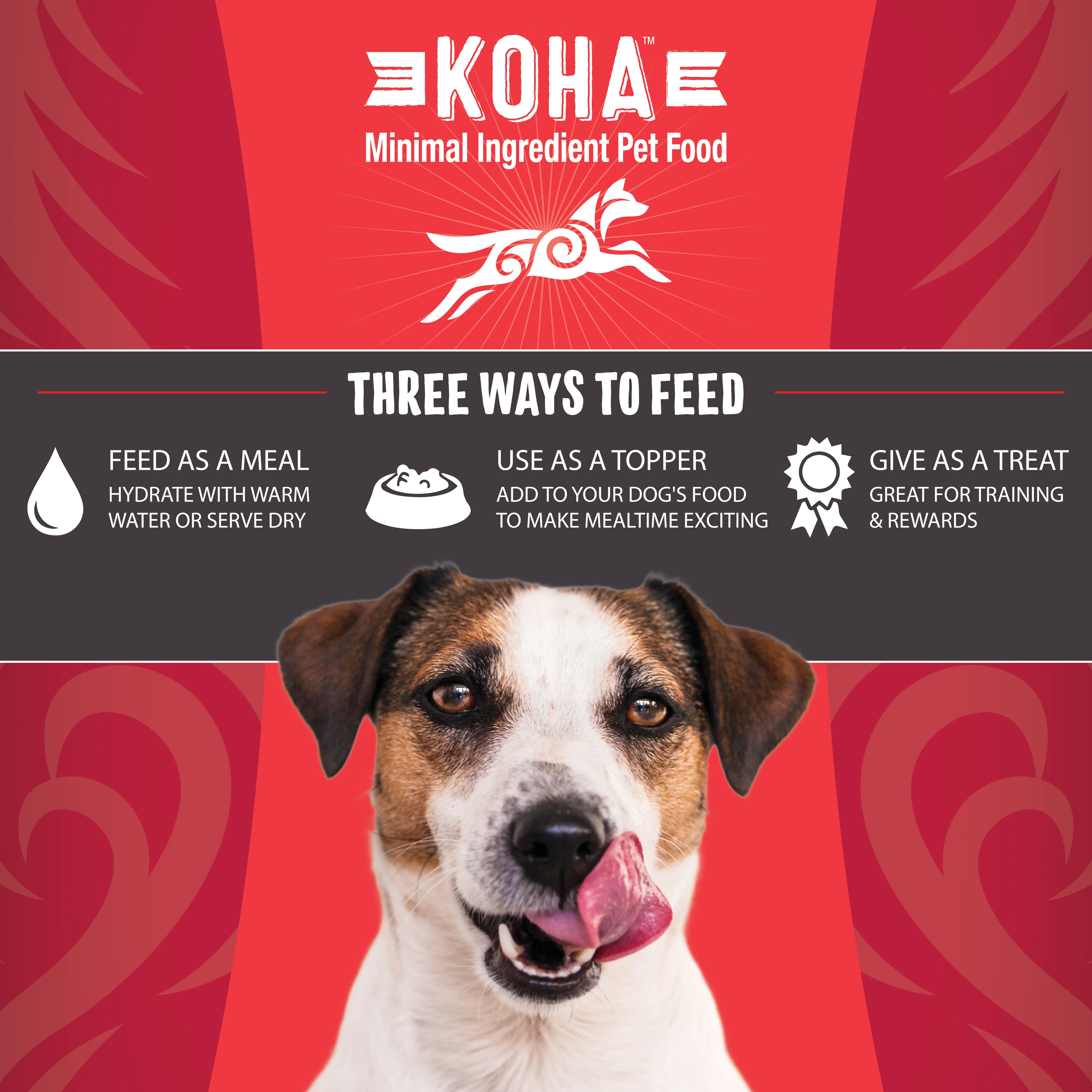 Freeze-Dried Raw Bites Beef Entrée for Dogs - Image 4