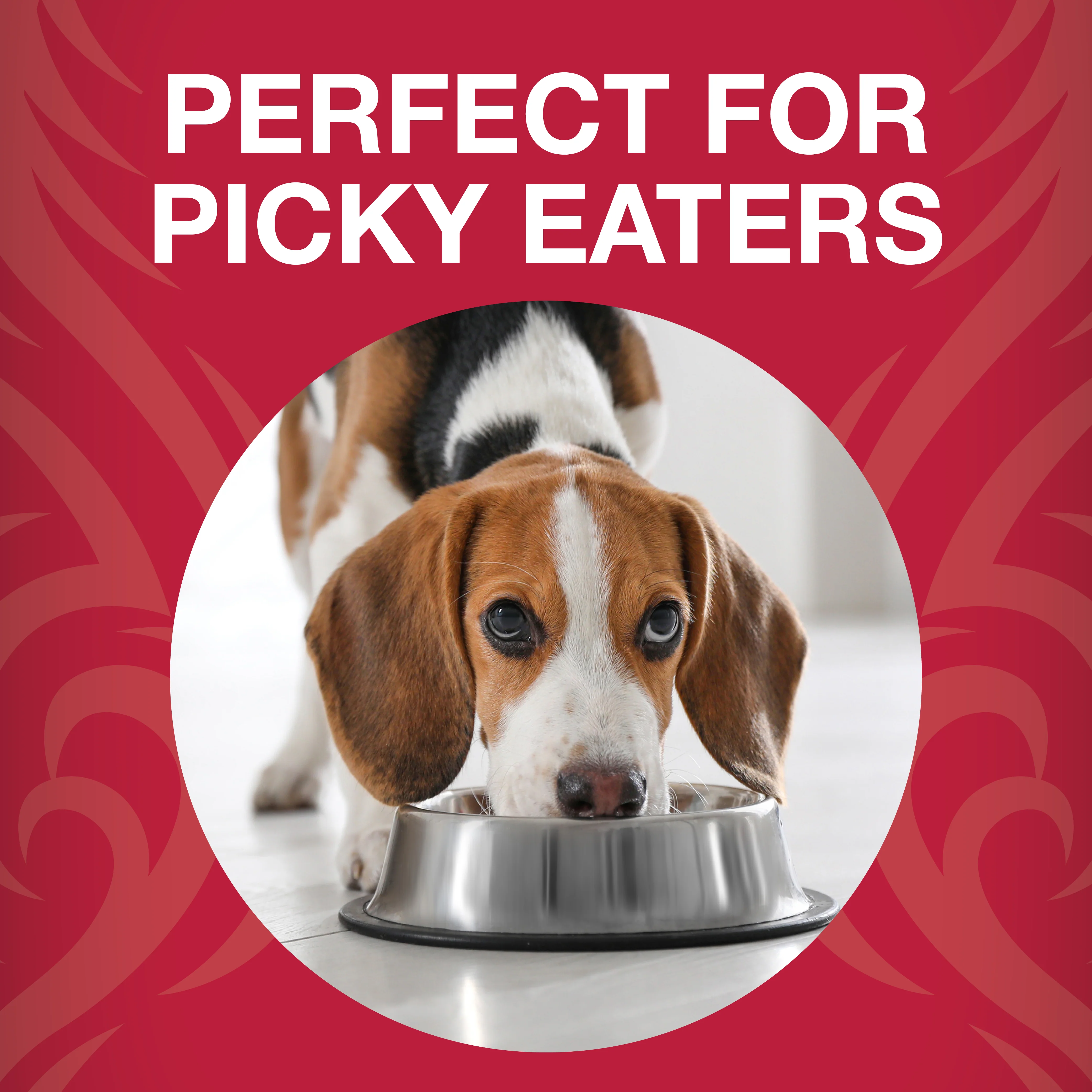 Freeze-Dried Raw Bites Beef Entrée for Dogs - Image 7