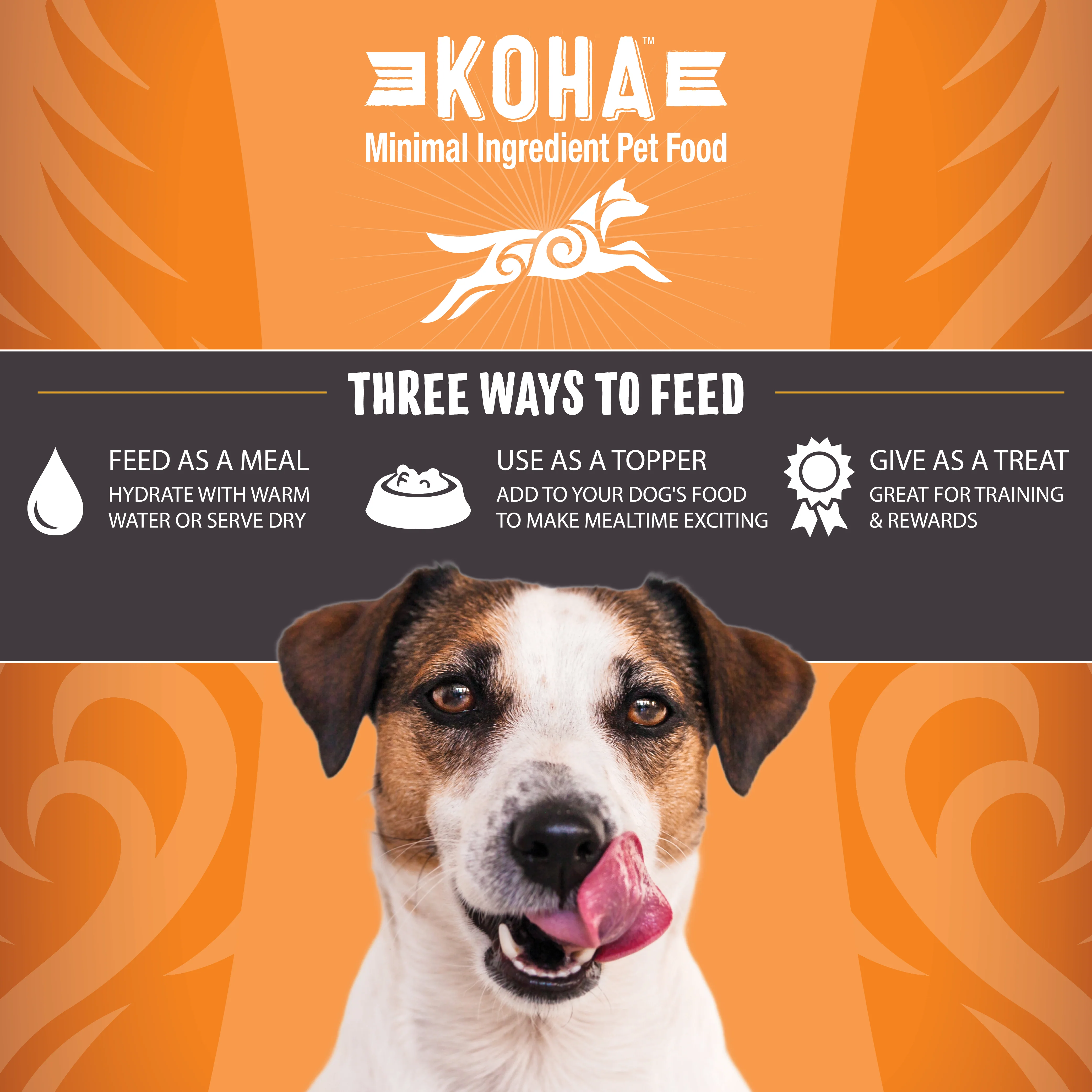 Freeze-Dried Raw Bites Chicken Entrée for Dogs - Image 4