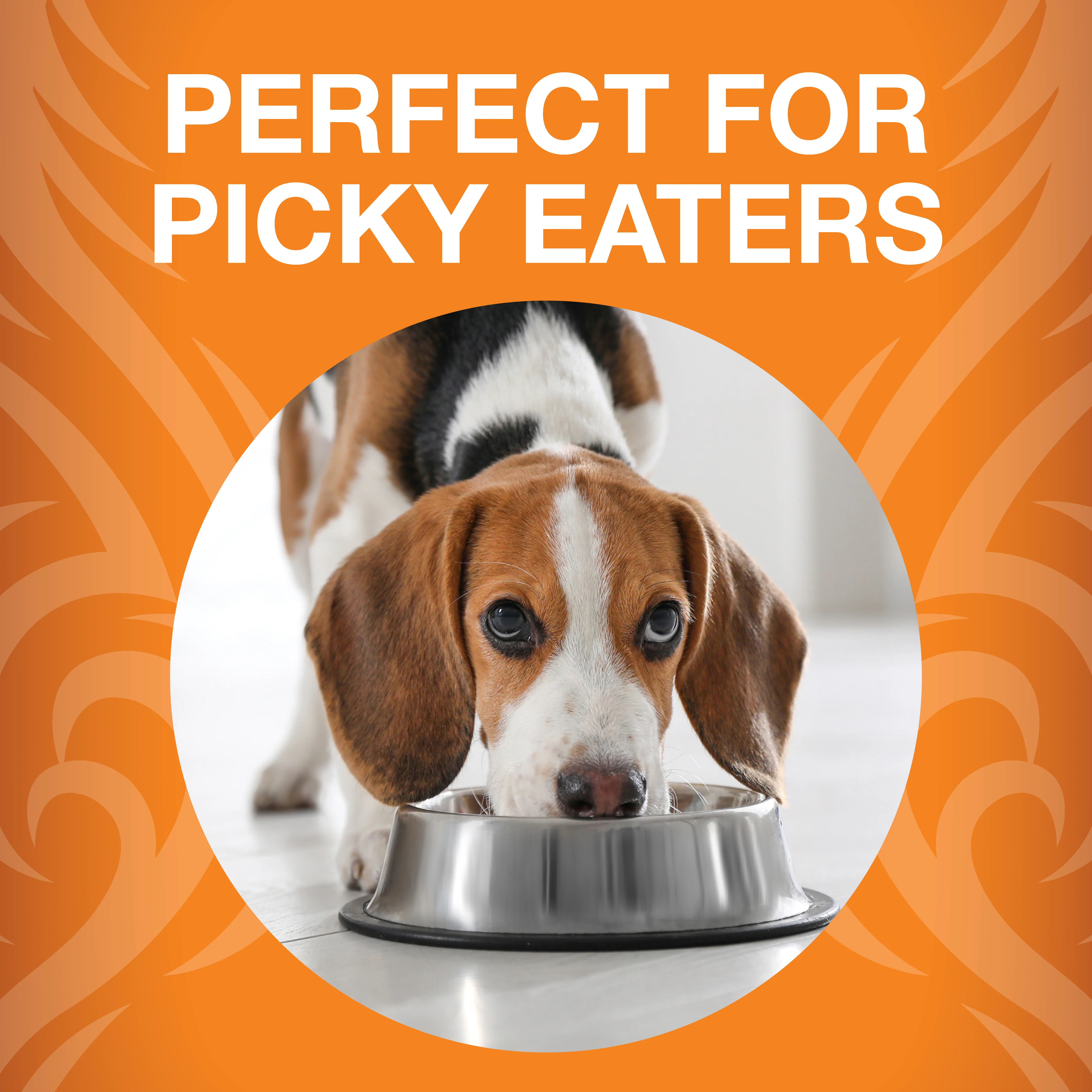 Freeze-Dried Raw Bites Chicken Entrée for Dogs - Image 6