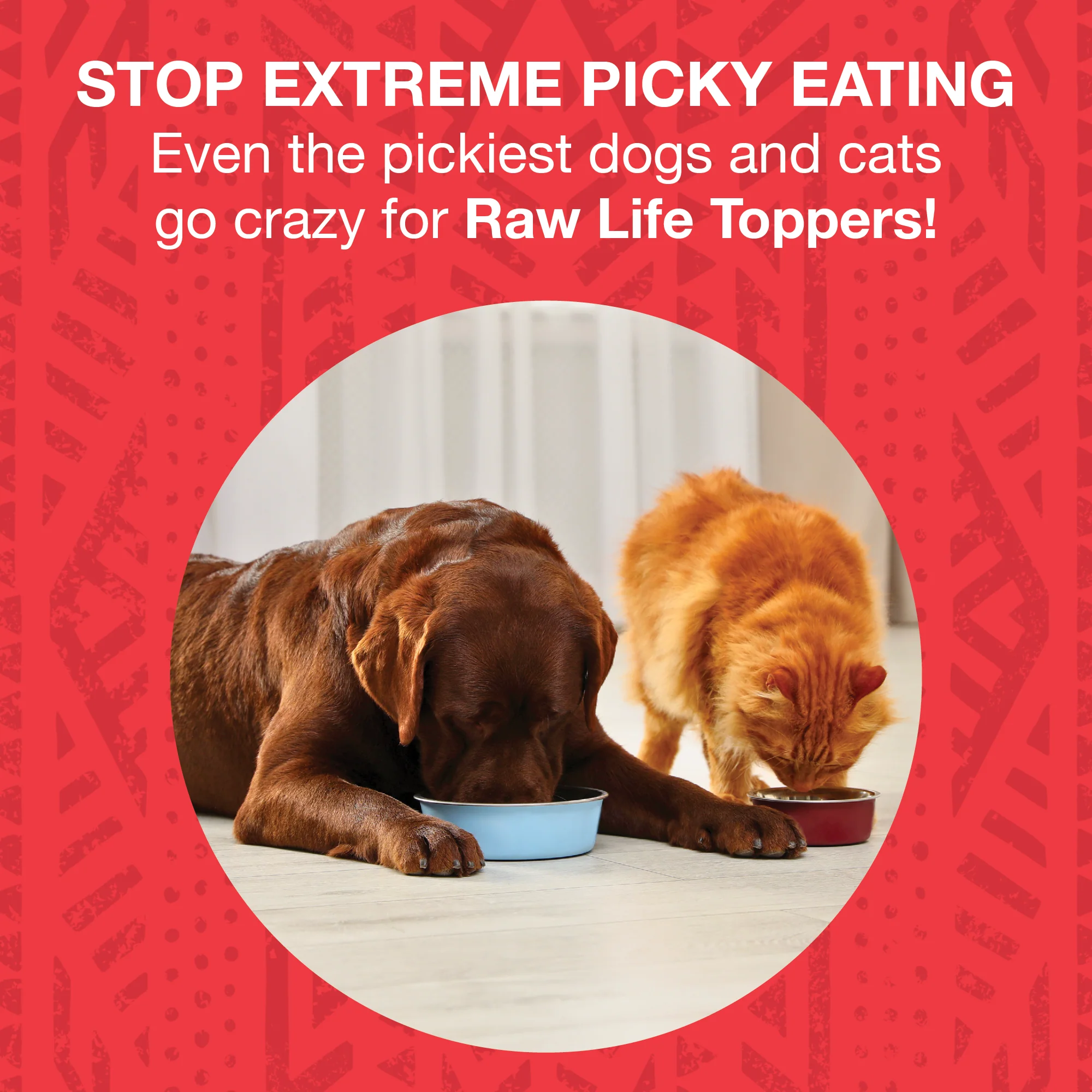 Freeze-Dried Raw Topper Beef Recipe for Dogs and Cats - Image 3