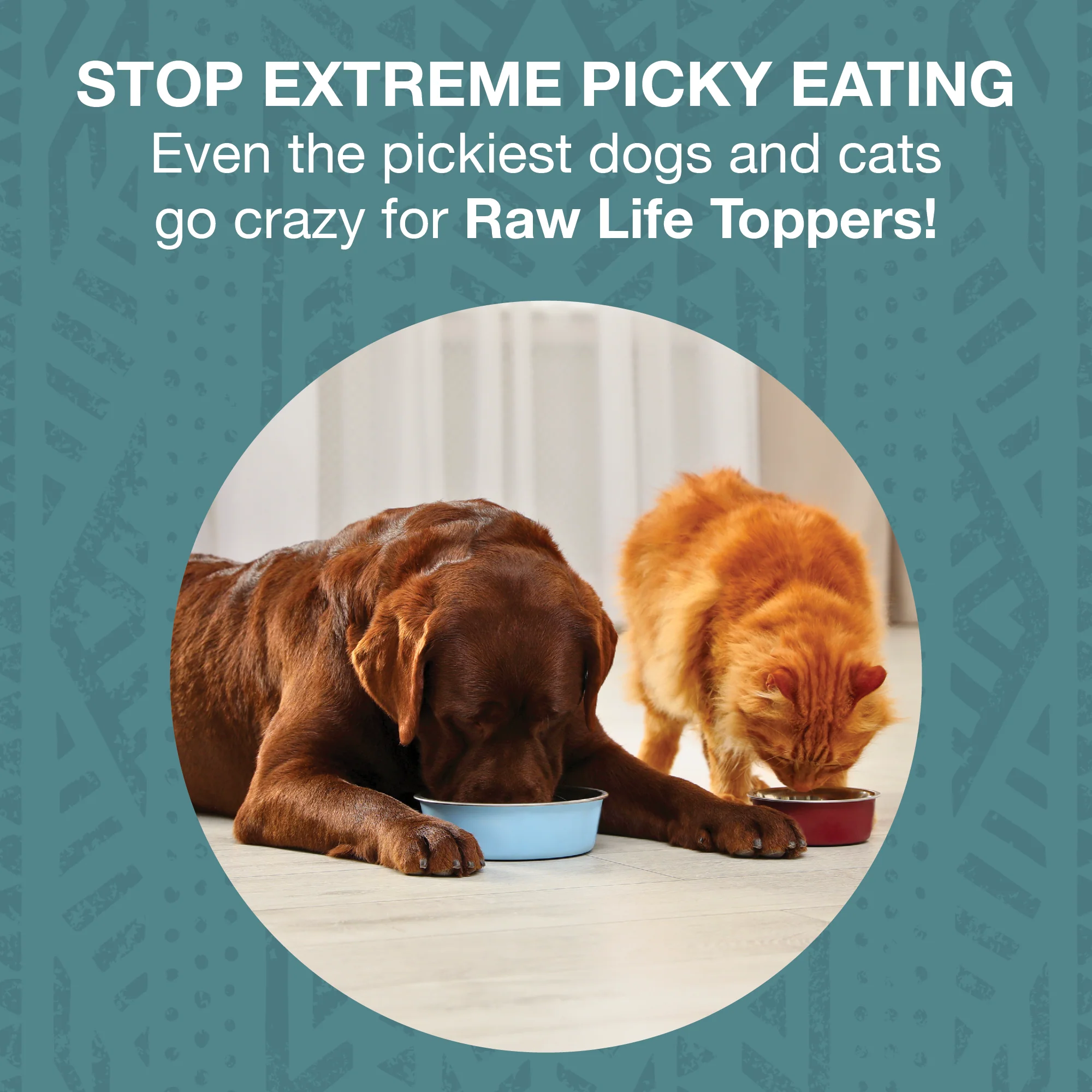 Freeze-Dried Raw Topper Elk & Venison Recipe for Dogs and Cats - Image 4