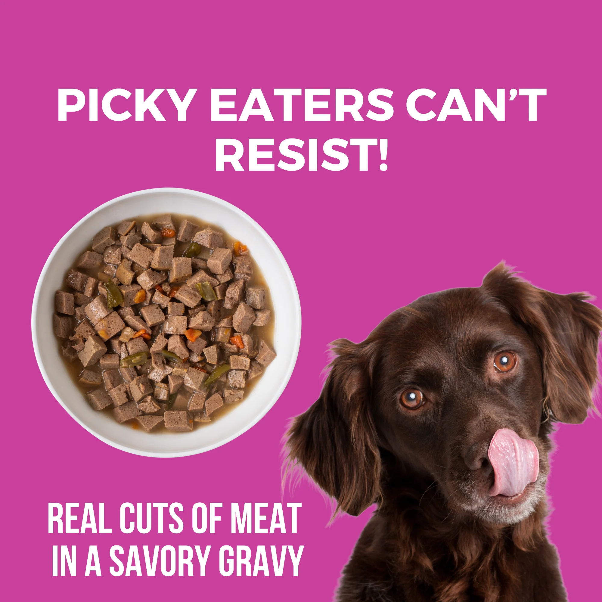 Santa Fe Skillet Slow Cooked Stew Beef & Pork Recipe for Dogs - Image 3