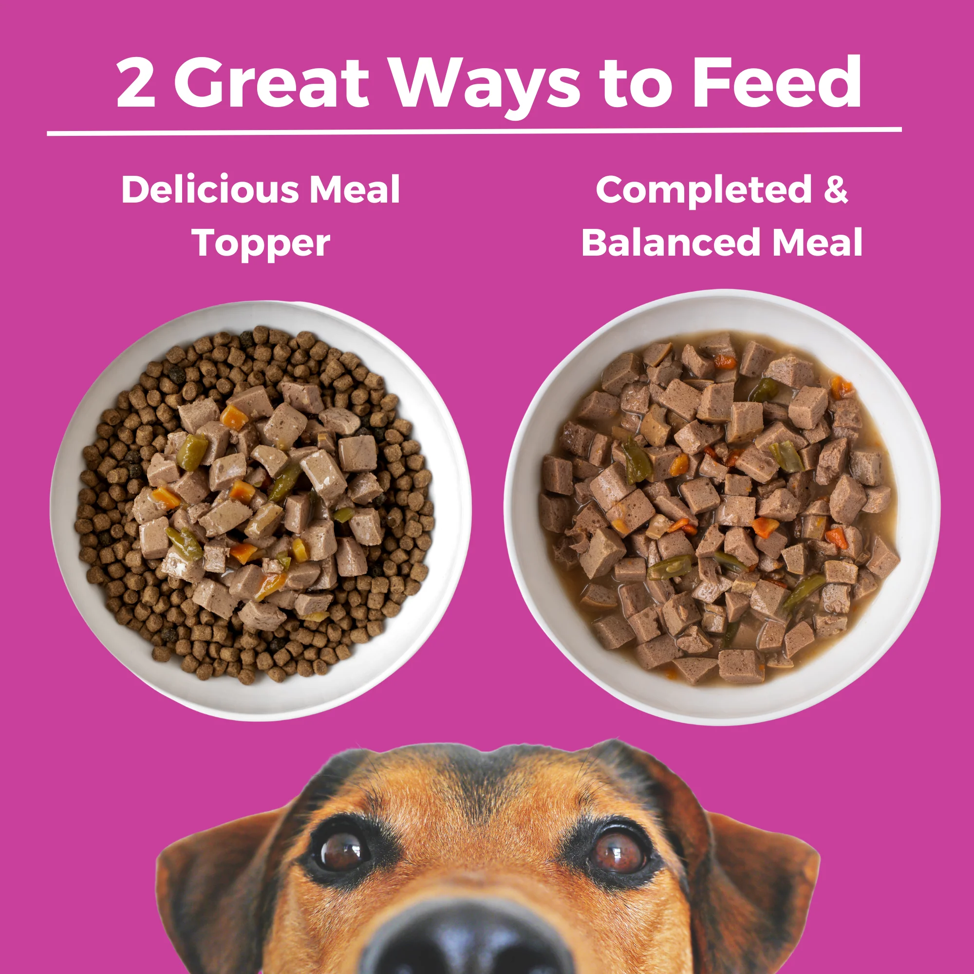 Santa Fe Skillet Slow Cooked Stew Beef & Pork Recipe for Dogs - Image 5