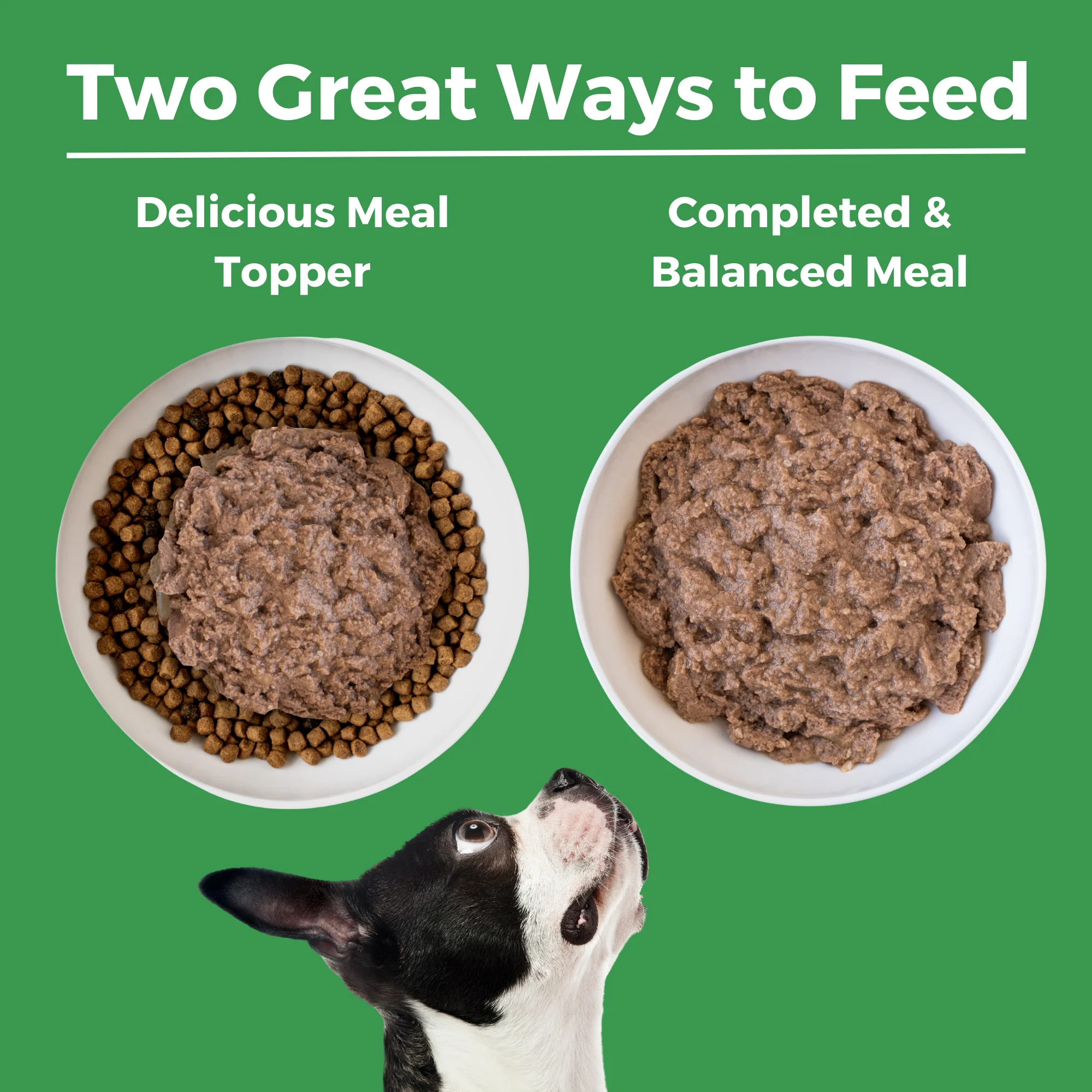 Limited Ingredient Diet Turkey Entrée for Dogs - Image 5