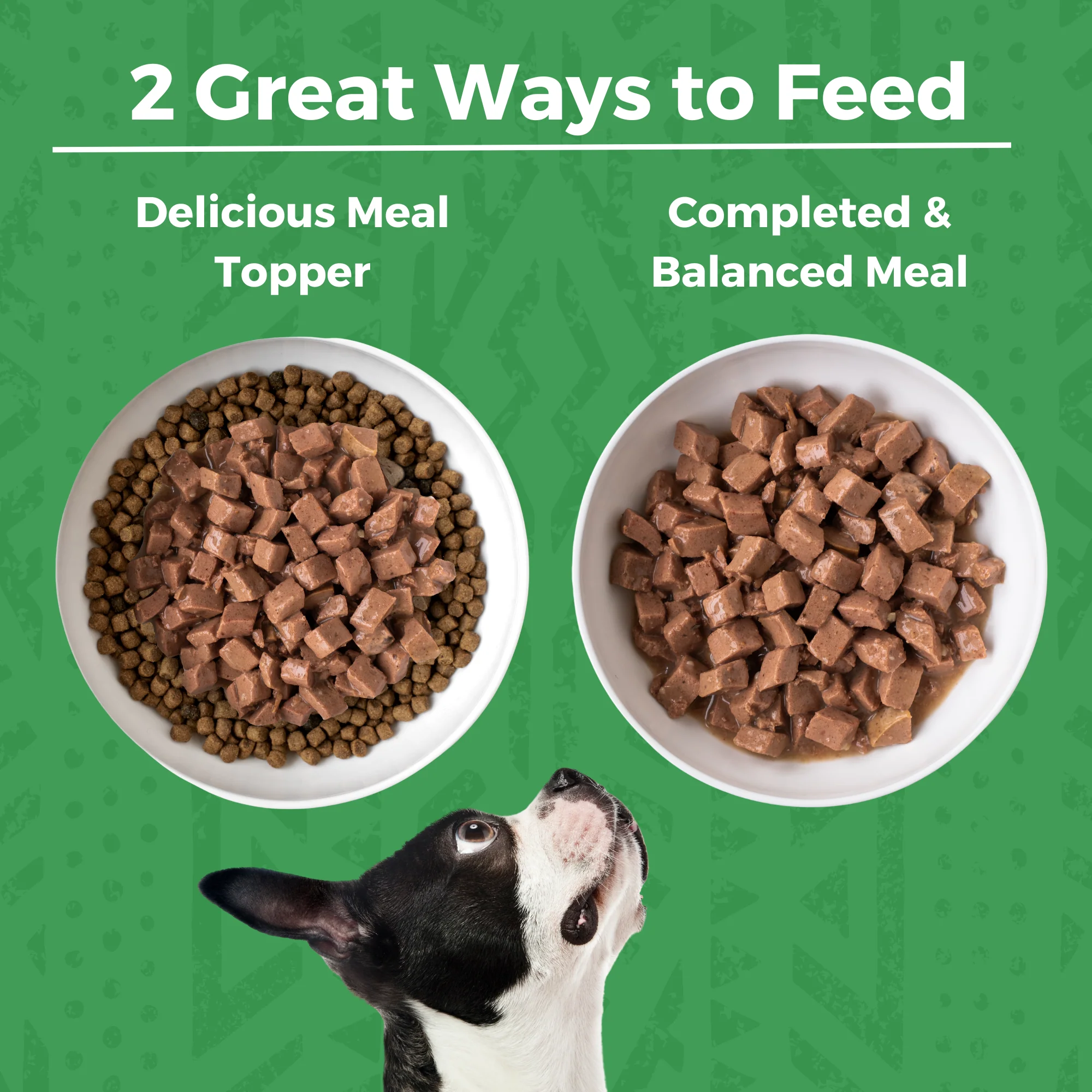 Minimal Ingredient Turkey Stew for Dogs - Image 3