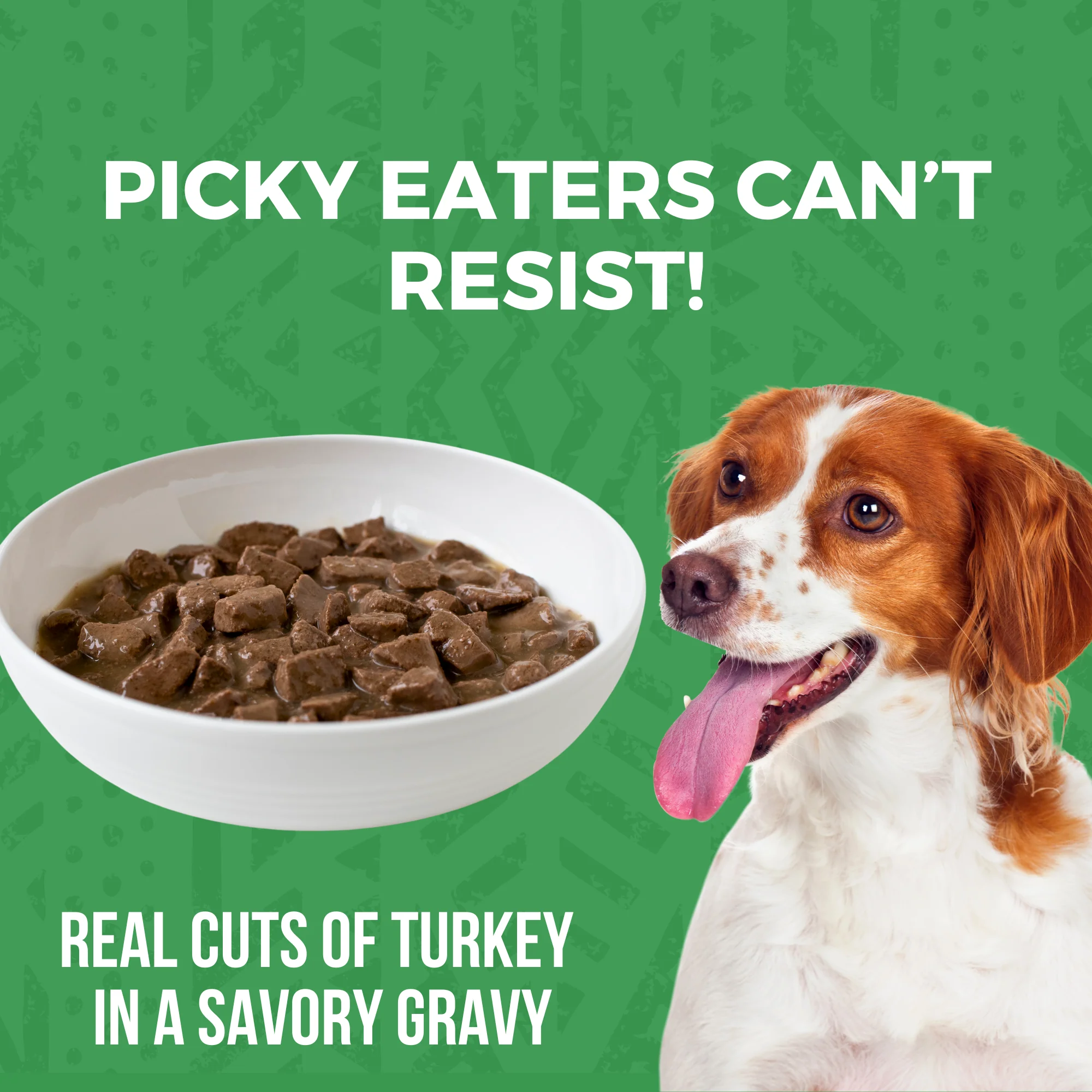 Minimal Ingredient Turkey Stew for Dogs - Image 4