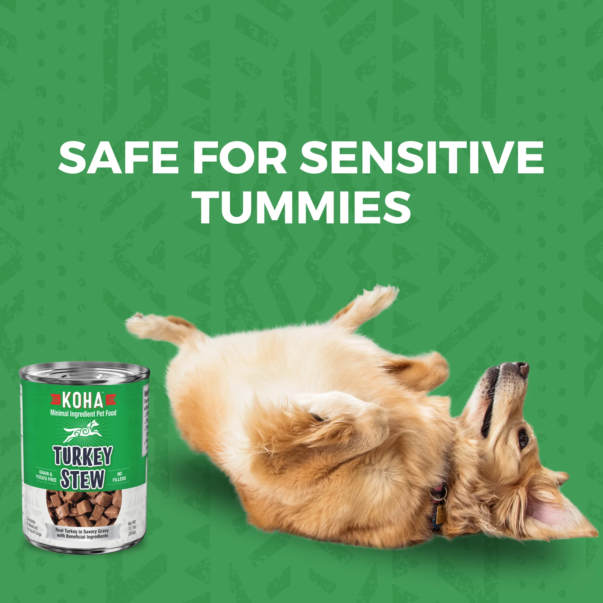 Minimal Ingredient Turkey Stew for Dogs - Image 5