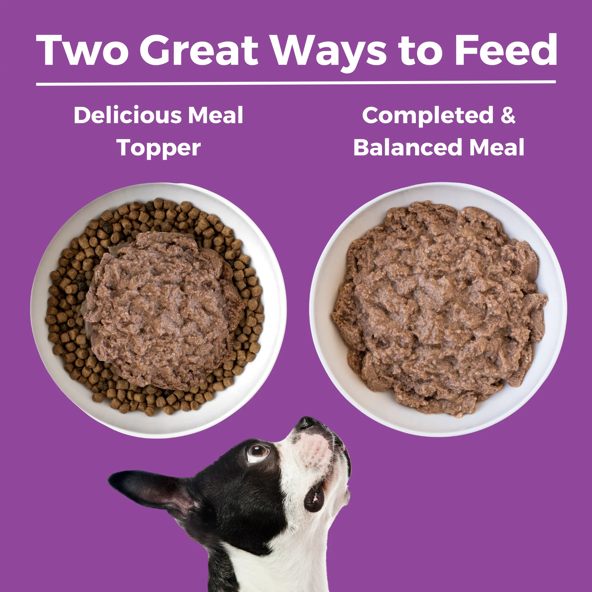 Kangaroo Dog Food: Limited Ingredient Diet Kangaroo Entrée for Dogs - Image 5