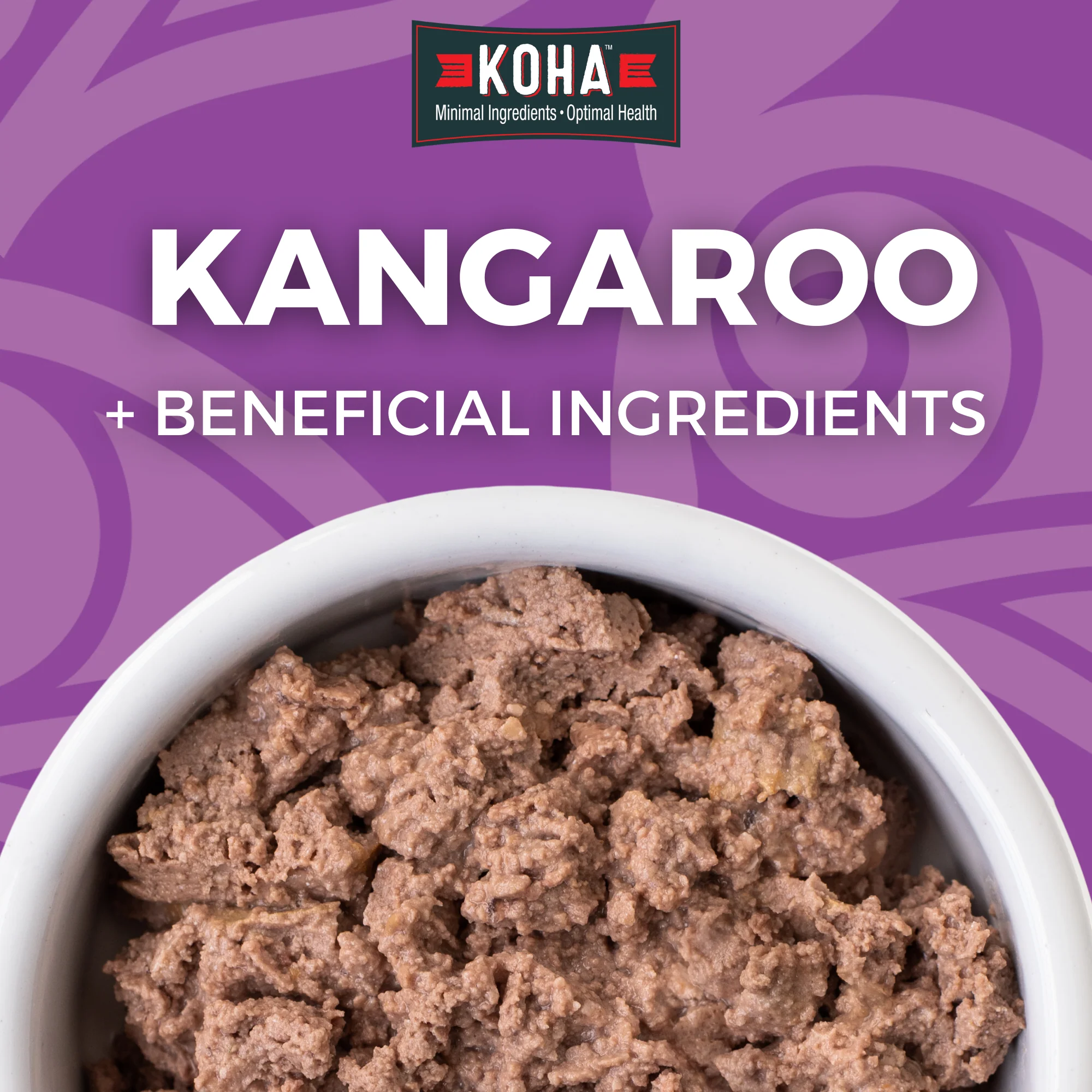 Kangaroo Cat Food: Limited Ingredient Diet Kangaroo for Cats - Image 3